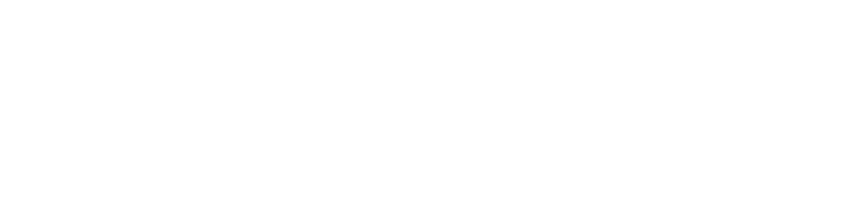Icône Orbis